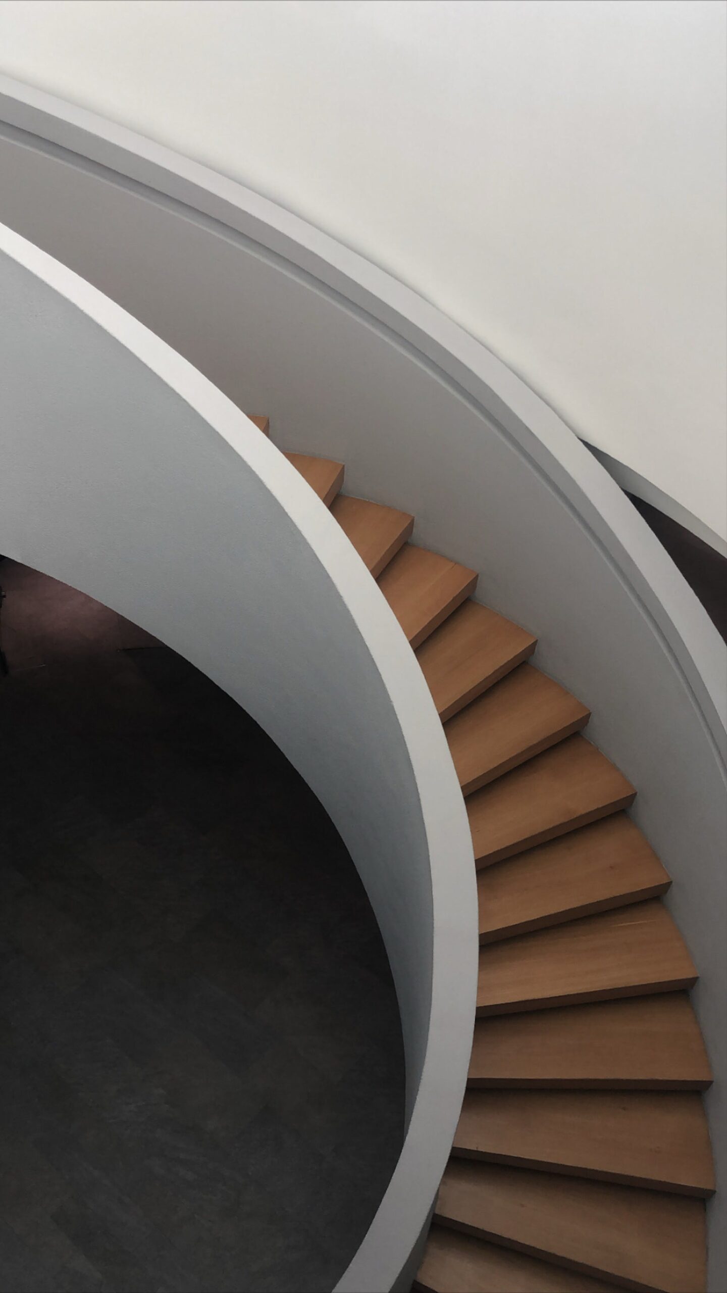 pexels-kadir-avşar-15010720